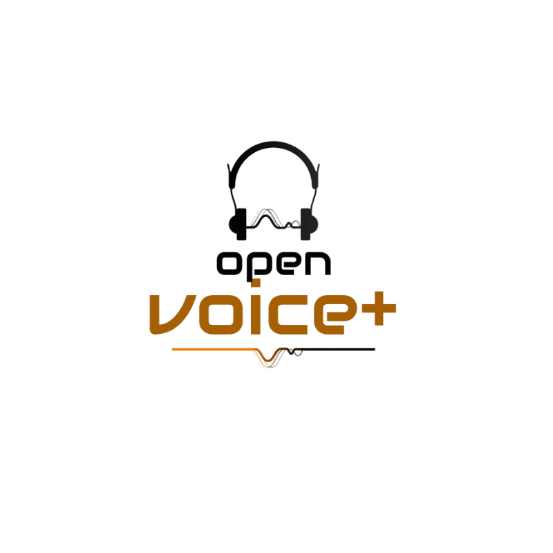 Openvoice